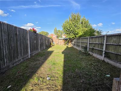 Picture 13